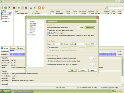 Screenshot of uTorrent configuration